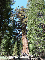 P1030928.jpg: 3240x4320, 4142k (June 13, 2012, at 05:47 AM)