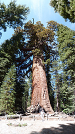 stitch3.jpg: 2533x4524, 5454k (June 13, 2012, at 05:22 AM)