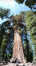 stitch2.jpg: 2504x4492, 5161k (June 13, 2012, at 05:32 AM)