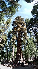 stitch4.jpg: 3833x6866, 9887k (June 13, 2012, at 05:41 AM)