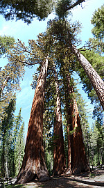 stitch6.jpg: 7089x12769, 23949k (June 13, 2012, at 05:42 AM)