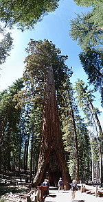 stitch5.jpg: 3369x6631, 8078k (June 13, 2012, at 05:34 AM)