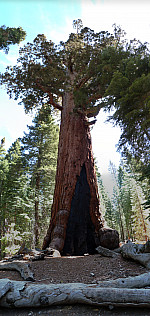 stitch1.jpg: 3237x6813, 6655k (June 13, 2012, at 05:25 AM)