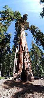 stitch0.jpg: 5895x12925, 18607k (June 13, 2012, at 05:42 AM)
