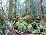 P1050665.jpg: 4320x3240, 6134k (May 27, 2012, at 10:12 PM)