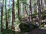 P1050670.jpg: 4320x3240, 5770k (May 27, 2012, at 10:12 PM)