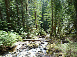 P1050680.jpg: 4320x3240, 5602k (May 27, 2012, at 10:18 PM)