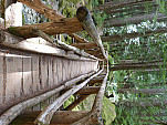 P1050716.jpg: 4320x3240, 5923k (May 27, 2012, at 10:23 PM)