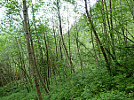 P1050910.jpg: 4320x3240, 5745k (June 06, 2012, at 05:40 AM)