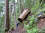 P1050943.jpg: 4320x3240, 5719k (June 06, 2012, at 05:47 AM)