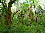 P1060050.jpg: 4320x3240, 5771k (June 06, 2012, at 05:54 AM)