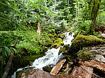 P1060054.jpg: 4320x3240, 5569k (June 12, 2012, at 05:46 AM)