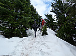 P1060114.jpg: 4320x3240, 5380k (June 12, 2012, at 05:52 AM)