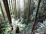 P1060190.jpg: 4320x3240, 5705k (June 12, 2012, at 05:53 AM)