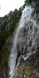 stitch2.jpg: 3232x6469, 6456k (June 13, 2012, at 04:19 AM)