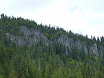 P1060201.jpg: 4320x3240, 5350k (June 17, 2012, at 06:35 AM)