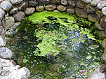 P1060203.jpg: 4320x3240, 5692k (June 17, 2012, at 06:36 AM)