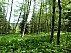 P1060213.jpg: 4320x3240, 5833k (June 17, 2012, at 06:39 AM)