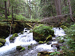 P1060576.jpg: 4320x3240, 5792k (July 24, 2012, at 07:15 AM)
