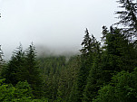 P1060578.jpg: 4320x3240, 5263k (July 24, 2012, at 07:14 AM)