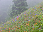 P1060599.jpg: 4320x3240, 5961k (July 24, 2012, at 07:20 AM)
