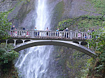 P1060951.jpg: 4320x3240, 5937k (August 16, 2012, at 07:57 AM)