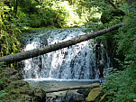 P1060961.jpg: 4320x3240, 5919k (August 16, 2012, at 07:51 AM)