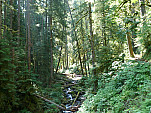 P1060968.jpg: 4320x3240, 5563k (August 16, 2012, at 07:52 AM)