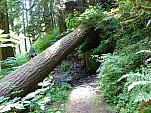 P1060969.jpg: 4320x3240, 5563k (August 16, 2012, at 07:52 AM)