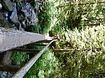 P1060975.jpg: 4320x3240, 5730k (August 16, 2012, at 07:53 AM)