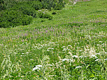 P1070034.jpg: 4320x3240, 5808k (August 16, 2012, at 08:24 AM)
