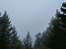 P1070149.jpg: 4320x3240, 5491k (August 23, 2012, at 07:41 AM) P1070149.jpg: 4320x3240, 5491k (August 23, 2012, at 07:41 AM)