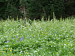 P1090025.jpg: 4320x3240, 5551k (September 24, 2012, at 09:22 PM)