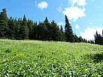 P1090029.jpg: 4320x3240, 5463k (September 24, 2012, at 09:22 PM)