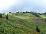 P1090213.jpg: 4320x3240, 5737k (September 24, 2012, at 09:35 PM)