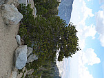 P1090748.jpg: 4320x3240, 5766k (September 24, 2012, at 08:13 PM)