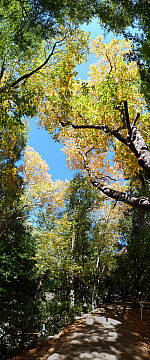 stitch1.jpg: 1521x3646, 3960k (November 07, 2012, at 12:18 AM)