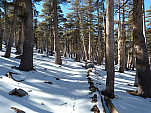 P1100109.jpg: 4320x3240, 5770k (November 26, 2012, at 07:10 PM)