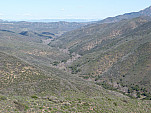 P1100525.jpg: 4320x3240, 5571k (April 12, 2013, at 03:56 AM)