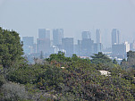 P1100695.jpg: 4320x3240, 5707k (March 10, 2013, at 10:56 PM)