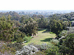 P1100727.jpg: 4320x3240, 5887k (March 10, 2013, at 10:58 PM)