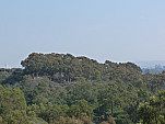 P1100728.jpg: 4320x3240, 5157k (March 10, 2013, at 10:59 PM)