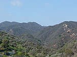 P1100744.jpg: 4320x3240, 5079k (March 10, 2013, at 11:00 PM)