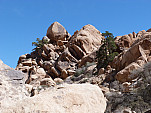 P1100844.jpg: 4320x3240, 5668k (March 11, 2013, at 02:09 AM)