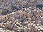 P1100890.jpg: 4320x3240, 5390k (March 11, 2013, at 02:10 AM)
