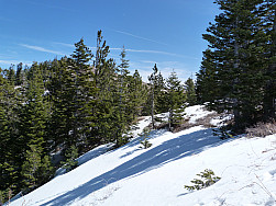 P1100937.jpg: 4320x3240, 5676k (March 31, 2013, at 05:06 AM)