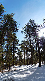 stitch0.jpg: 1511x2672, 1716k (February 07, 2106, at 06:28 AM)