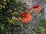 P1110016.jpg: 4320x3240, 5798k (April 10, 2013, at 08:00 AM)