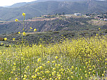 P1110108.jpg: 4320x3240, 5624k (April 10, 2013, at 08:07 AM)