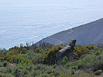 P1110111.jpg: 4320x3240, 5773k (April 10, 2013, at 08:43 AM)